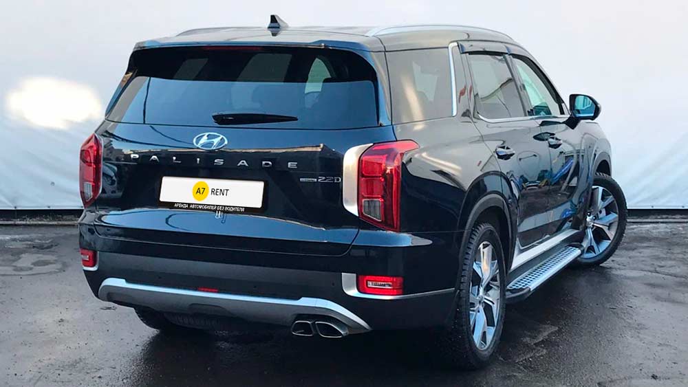Hyundai Palisade 598