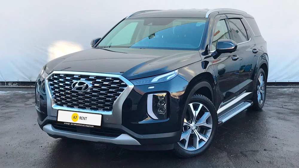 Hyundai Palisade 598